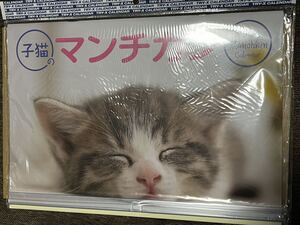 子猫のマンチカン 2024年カレンダー 壁掛け