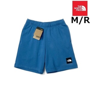 1円～!売切!【正規新品】THE NORTH FACE◆NEVER STOP SHORT ショートパンツ US限定 ボックスロゴ キャンプ アウトドア 登山(M)青 190110-5