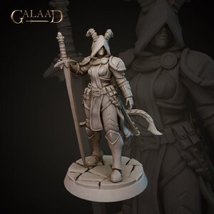 Female Tiefling Paladin