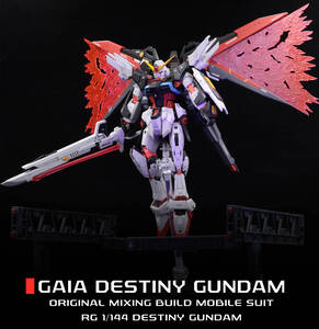 RG 1/144 デスティニーガンダム オリジナル改造 全塗装 完成品