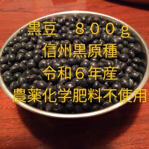 黒豆　信州黒原種　令和６年産　８００ｇ　無選別　農薬不使用　種用も可　送料無料