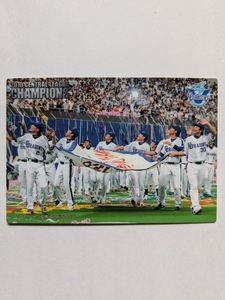 2011 カルビープロ野球チップス LC-2 リーグ優勝カード 2010セ・リーグ優勝 中日