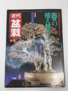 盆栽総合誌 月刊盆栽 1982年 4月号 近代出版【z102714】