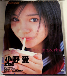 写真集　小野愛「tangerine」