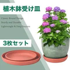 お得な3枚セット❣️植木鉢 受け皿 プラスチック 小型 中型 大型白 レッド 茶