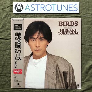 美盤 1987年 徳永英明 Hideaki Tokunaga LPレコード バーズ Birds 帯付 J-Pop 輝きながら そうる透 富倉安生 島村英二