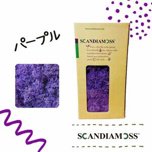 スカンディアモス SCANDIAMOSS パープル 50ｇ ディスプレイ 苔 モス 天然素材 紫 脱臭効果