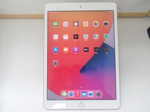 ＃65081【中古品】Apple iPad (第7世代) A2198 Wi-Fi＋Cellularモデル 32GB シルバー 判定○ docomo SIMロック解除未確認