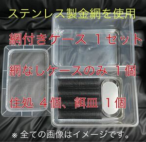 ステンレス金網使用 デュビア コオロギ レッドローチ 飼育ケース 飼育ケージ 中