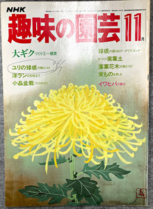 NHK 趣味の園芸 昭和58年 11月　大ギクづくり(5) 鑑賞 ユリの球根　ガーデニング 盆栽 花壇 菜園