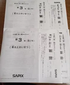 SAPIX 新学年入室・組分けテスト 国語 算数