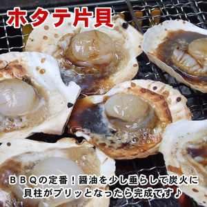 【即決】ホタテ片貝 (北海道産) [冷凍] (1袋×10枚入り）【この出品複数落札は同梱出来ます】ほたて貝海鮮BBQお歳暮お中元ギフト