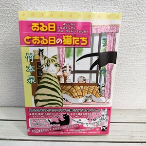 即決！送料無料！ 『 ある日とある日の猫たち 』■ 竹本泉 / 猫 日常 × エッセイ 漫画