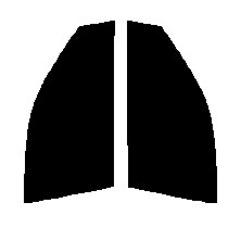ハーフスモーク　76％ 運転席、助手席　レガシィワゴン BH　カット済みフィルム