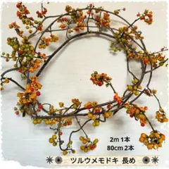 ✵✺ ツルウメモドキ 長め ✺✵ ② 木の実 リース 花材 蔓 赤い実