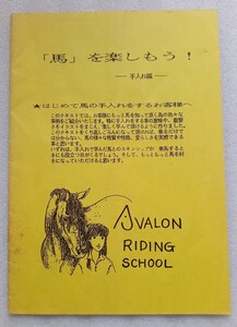 馬を楽しもう! 手入れ編 はじめて馬の手入れをするお客様へ AVALON RIDING SCHOOL ※難あり