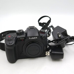 1円〜 Panasonic パナソニック LUMIX DC-GH5II ミラーレス一眼カメラ ボディのみ 動作確認済 y95-3324008【Y商品】