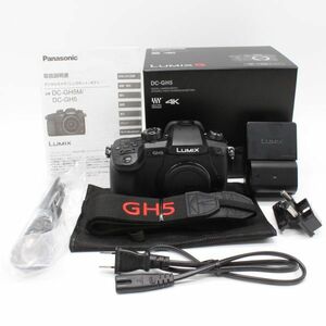 15671ショット■極上品■ PANASONIC ルミックス GH5 ボディ ブラック DC-GH5-K