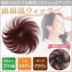 ヘアピース 茶 部分 ウィッグ 頭頂部 薄毛 円形脱毛症 つむじ 人毛100％