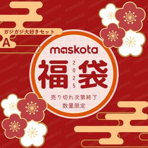 maskota 2025 ワンちゃんにお年玉福袋 （A）ガジガジ大好きワンちゃんセット 全国送料無料 数量限定