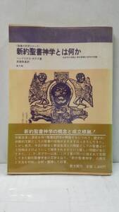 新約聖書神学とは何か 批評学の興隆と新約聖書の神学の問題 〈聖書の研究シリーズ〉 ヘンドリカス・ボアズ 著、高橋敬基 訳。教文館 刊