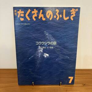 221203 月刊たくさんのふしぎ 1988年7月号「コククジラの旅」水口博也 文・写真★巻末ふしぎ新聞付★当時物絵本福音館書店かがくのとも美品