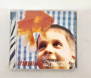 ク/ CD The trampolines /splash! /トランポリンズ / スプラッシュ! / KY-0124