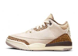 Nike Air Jordan 3 Retro "Orewood Brown" 27.5cm CT8532-102