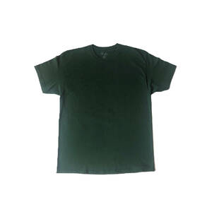 Champion　デザインTシャツ　ワンポイント　刺繍　XL　グリーン　ハイチ製