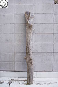 SEASIDEinterior☆かっこいい流木,Cool driftwood for decorating 83