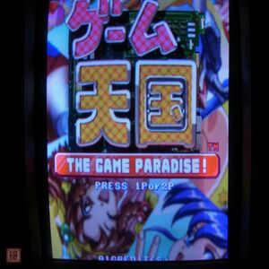 1円〜 ※ROMのみ ジャレコ/JALECO ゲーム天国 THE GAME PARADISE! メガシステム32 動作確認済【20