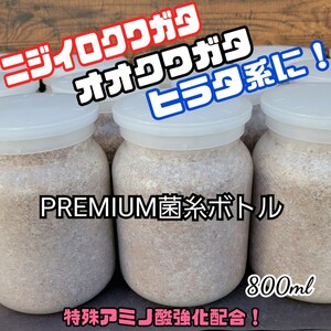 極上！ヒマラヤひらたけプレミアム菌糸瓶【800ml 】トレハロース・ローヤルゼリー・キトサン強化配合☆ニジイロクワガタ、オオクワにお薦め