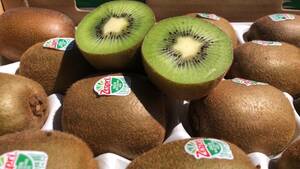 Zespri GREEN ゼスプリ グリーンキウイ 大玉 3.2kg以上 (約25個~30個入)