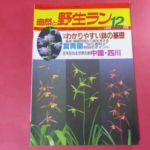 YN4-241219☆自然と野生ラン 1988年12月号　寒蘭 ウチョウラン 雪割草 富貴蘭 ※ 園芸JAPAN