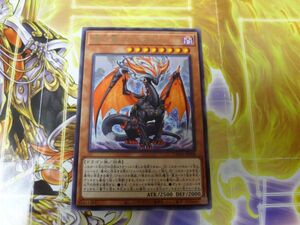 遊戯王 　黒衣竜アルビオン　　プレイ専用　R041117　数量2