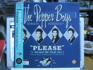 PEPPER BOYSペッパーボーイズ / PLEASE [I WANNA BE YOUR No.1] レア 帯付LP 村松邦男 谷村有美