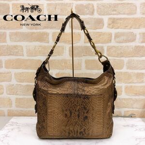 美品　数回　定9万程　希少　ＣＯＡＣＨ　パイソン型押　ハンド　ショルダー　バッグ