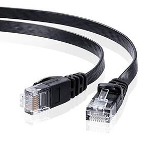 サンワサプライ CAT6フラットLANケーブル (10m) 1Gbps/250MHz RJ45 ツメ折れ防止 ブラック LA-FL6-10BK