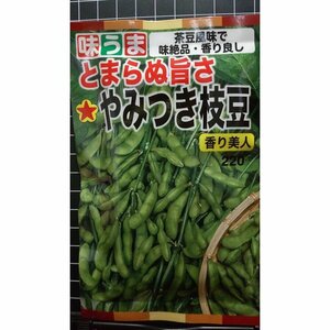 ３袋セット やみつき エダマメ 香り美人 茶豆 風味 枝豆 種 郵便は送料無料