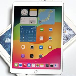 Apple iPad Pro (10.5インチ) シルバー 64GB MQDW2J/A Wi-Fiモデル iOS17.7.3 バッテリー最大容量91％ アクティベーションロック解除済