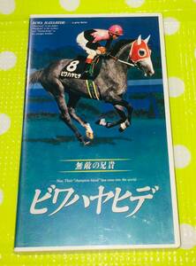 即決〈同梱歓迎〉VHS ビワハヤヒデ 無敵の兄貴 データブック付 競馬 ポニーキャニオン◎その他ビデオ多数出品中∞M59