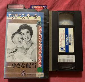 VHS 可愛い配当 小さな配当　エリザベステイラー