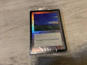 MTG　Magic the Gathering　マジックザギャザリング　英語版　Plains　Foil　ARENA　未開封　パック　レターパック発送