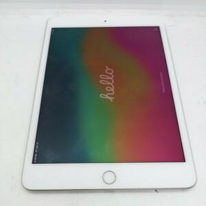 管理:QA-3109/ジャンク/完動品動作確認済み/ iPad mini 第5世代 a2124 256GB Wi-Fiモデル