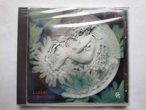 CD 肝付兼美 想い GGBD-3013 KANEMI KIMOTSUKI PENSIERO マンドリン 毛塚功一 神田由起子 カラーチェ ムニエル カペレッティ 加賀城浩光