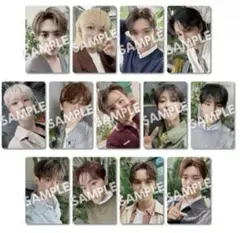 seventeen 消費期限 トレカ タワレコ 13種コンプ