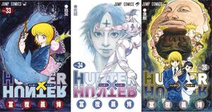 HUNTER×HUNTER 33-35セット