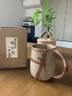 備前焼　一陽窯　ハンドメイド 陶器 湯呑み マグカップ ベージュ 赤 直径8cm