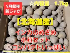 北海道 北見産 新じゃがいも 小粒 インカのめざめ 1.7kg