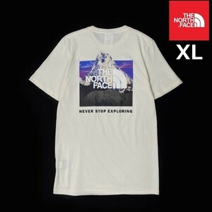 1円～!売切!【正規新品】THE NORTH FACE SHORT SLEEVE BOX NSE TEE 半袖 Tシャツ US限定 ボックスロゴ キャンプ 男女兼用(XL)白 180902-15